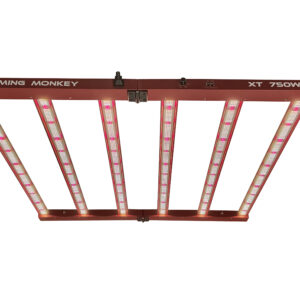 Kit Armario 120x120 XT750W con luces LED de espectro completo para cultivo interior, ideal para grow rooms.