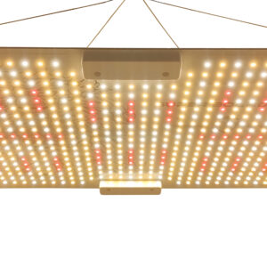 Kit Armario 100x100 Super board 150W, panel LED espectro completo para cultivo interior, luces cultivo LED.