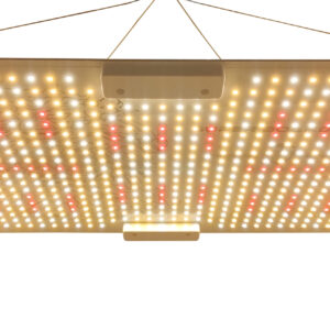 Super Board 150W, panel LED cultivo indoor 5000K-3000K, espectro completo germinación y floración, grow light.
